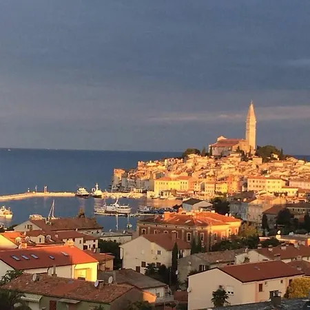 Capo D'oro *