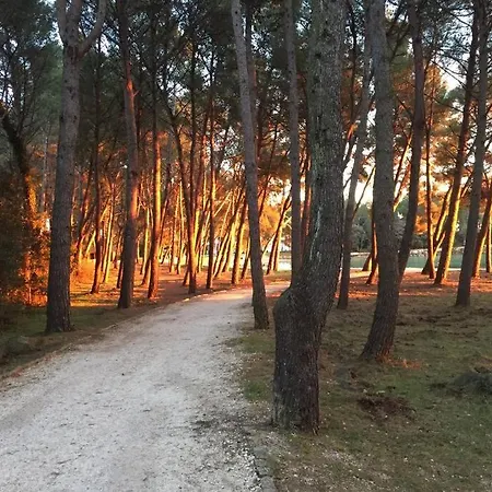 Capo D'oro Rovinj