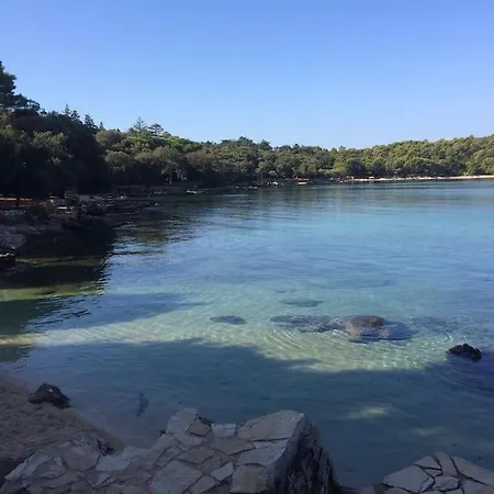 Capo D'oro